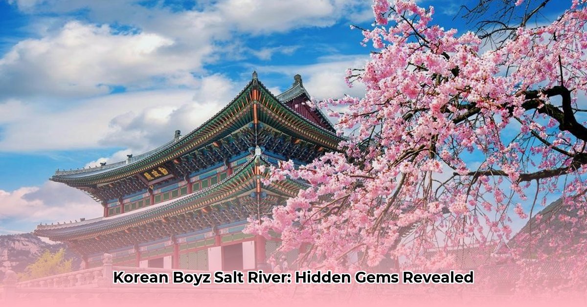 korean-boyz-salt-river